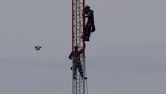 Instala Etecsa nueva radiobase en las cercanias del Mercado de 4 Caminos, con lo cual mejora grandamente la conectividad de la zona.
Foto: Ismael Francisco/ Cubadebate