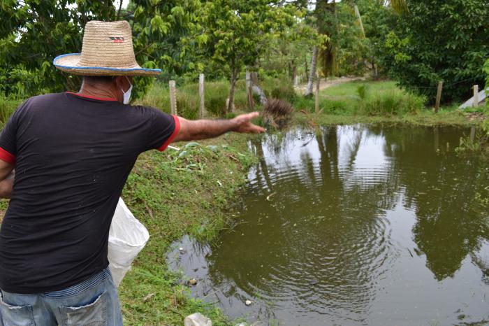 toma fuerza la captura de peces de agua dulce en La Habana del Este