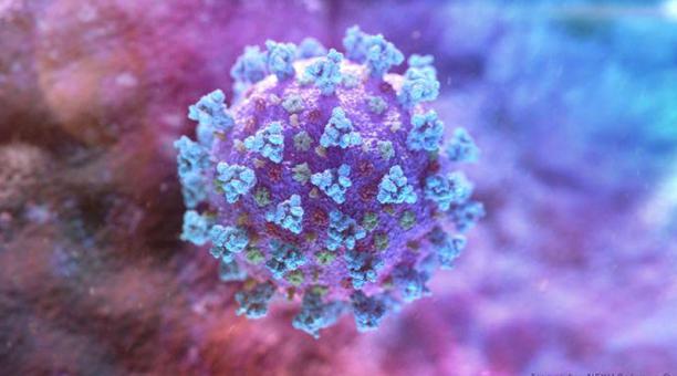 Nueva cepa de coronavirus SARS-CoV-2