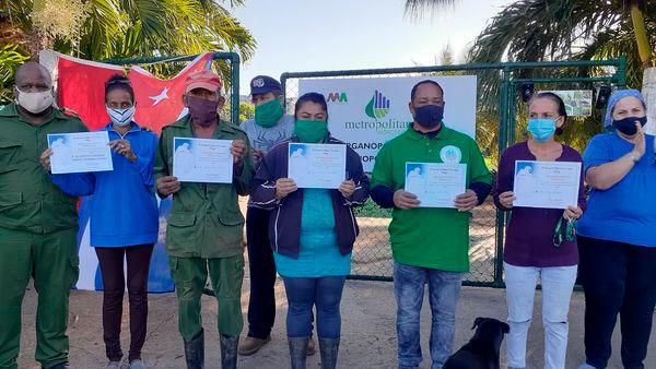 reconocen a trabajadores de organopónicos de Plaza de la Revolución