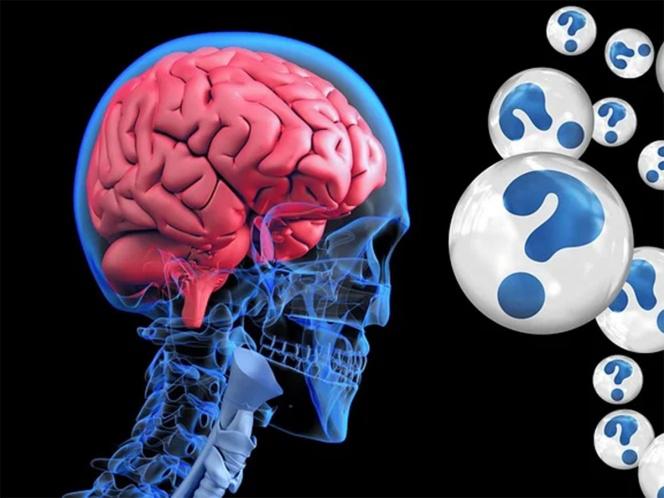 El sueño es anterior al cerebro, según afirman científicos