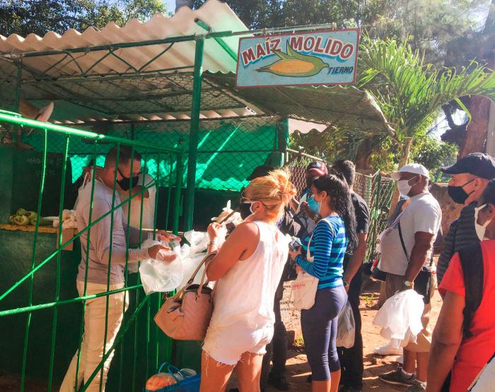 Personas en un mercado agropecuario en la habana