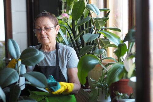 Beneficios de la horticultura para los adultos mayores