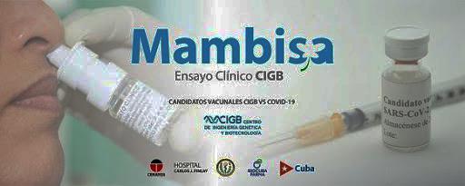 Vacuna cubana Mambisa