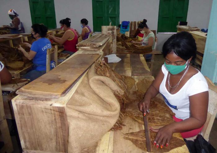 Mujeres trabajando en una tabaquería. Cuba