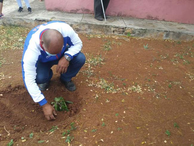 hombre sembrando un árbol