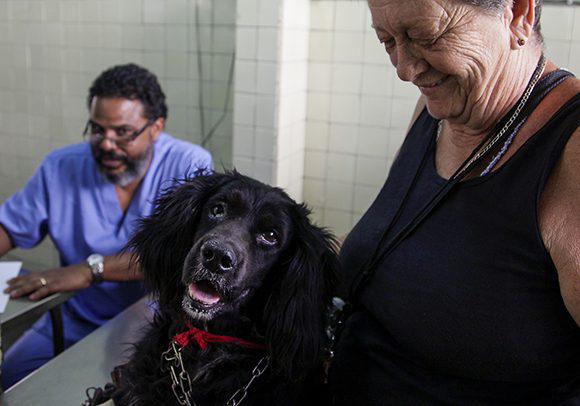 Medicina veterinaria cubana celebra sus 60 años (+ Fotos y Video)