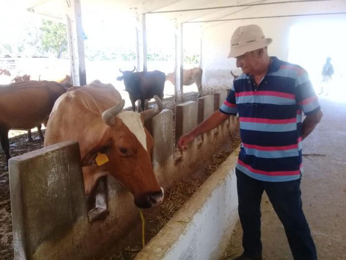 Jorge Alberto Hernández Blanco, veterinario cubano fallecido 