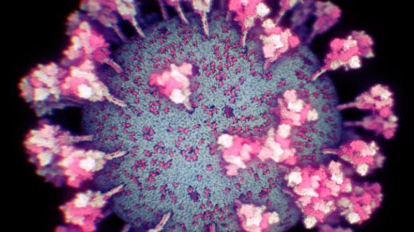 Coronavirus