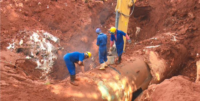 Cuando el agua regresa