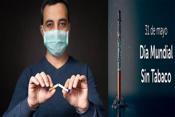 31 de mayo Día mundial sin tabaco, persona rompiendo un cigarro en señal de dejar de fumar