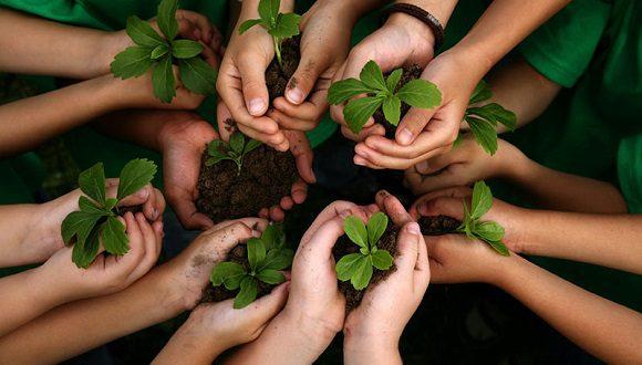 ¿Cómo enfrenta Cuba sus desafíos medioambientales?