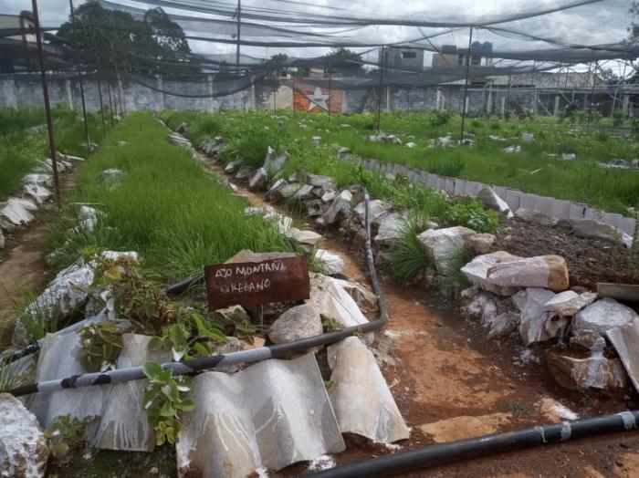 Un arsenal para mujeres en la agricultura