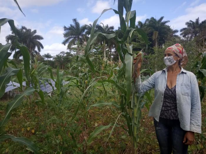 Un arsenal para mujeres en la agricultura