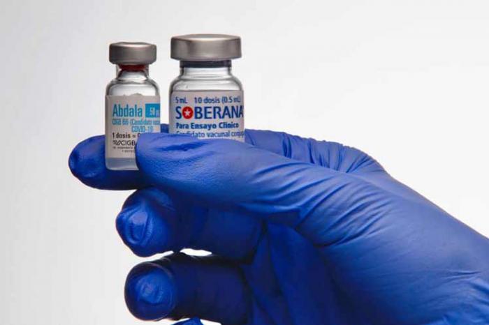 Bulbos de Abdala y Soberana 02