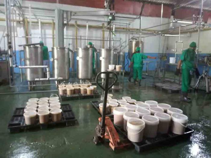 La minindustria Bajurayabo se encuentra en proceso de puesta en marcha desde hace un mes.