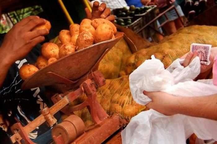 : inician venta regulada de la papa correspondiente al mes de julio.