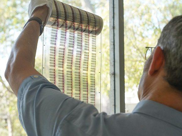 Pruebas de diabetes sin dolor