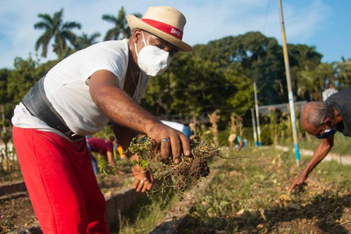 Un 26 de producción y trabajo