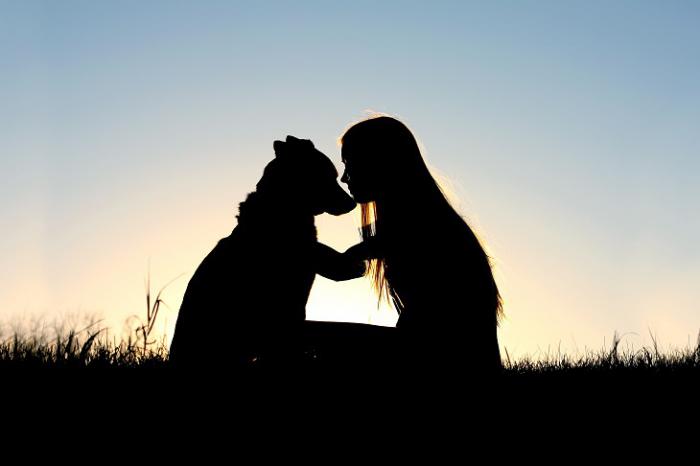 Beneficios para la salud de tener una mascota