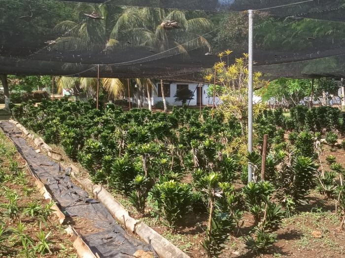 Aprovechar la mesa servida