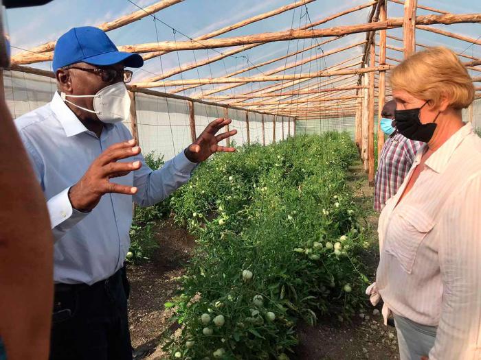 Recorrido por la Agricultura en el municipio Habana del Este