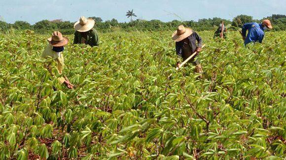 Nuevos fondos estarán disponibles para fomento agropecuario 