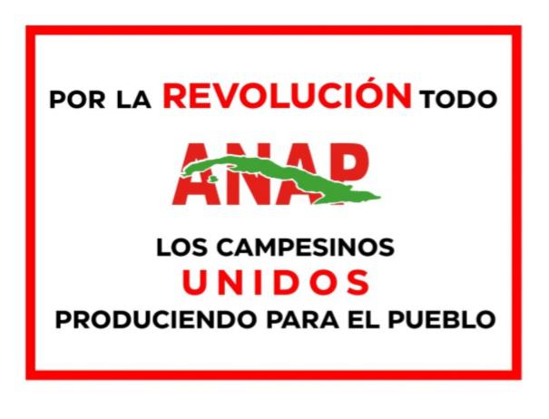 Anap