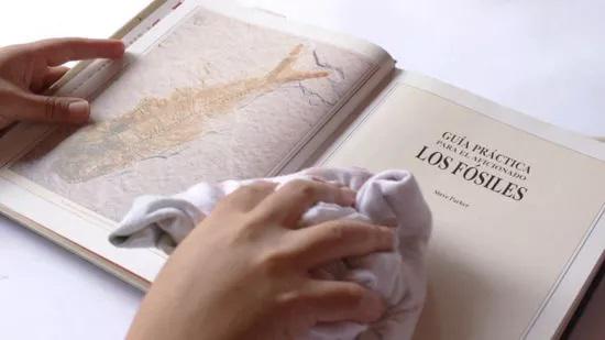 Tus libros deben estar en orden