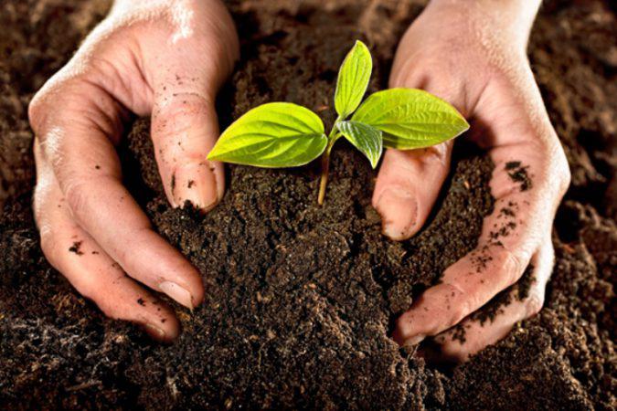 Participantes en Feria Internacional Agrobiodiversidad y Alimentación