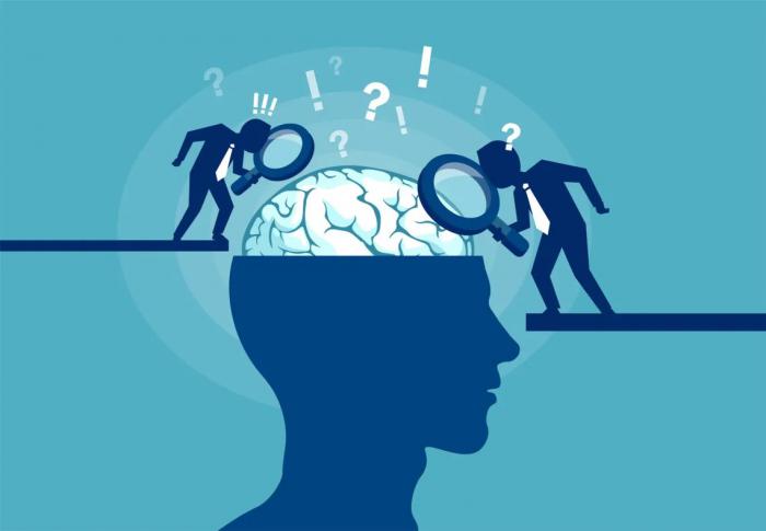 Sobre tu cerebro, algunas cosas asombrosas