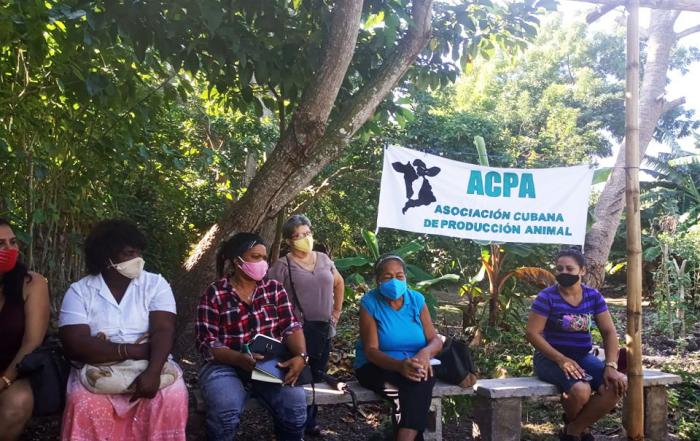 La capacitación en todos los ámbitos, el intercambio de experiencias y la incorporación femenina, son ejes claves de este proyecto en ejecución en Marianao.