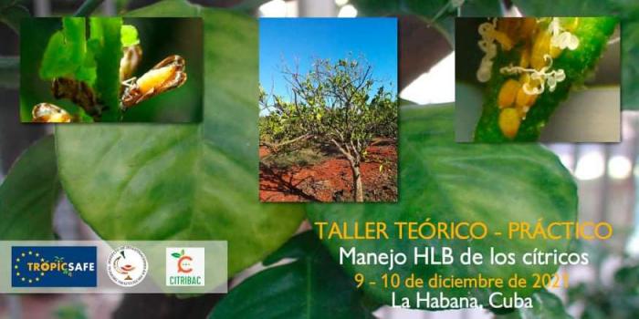 Cartel del taller teórico-práctico