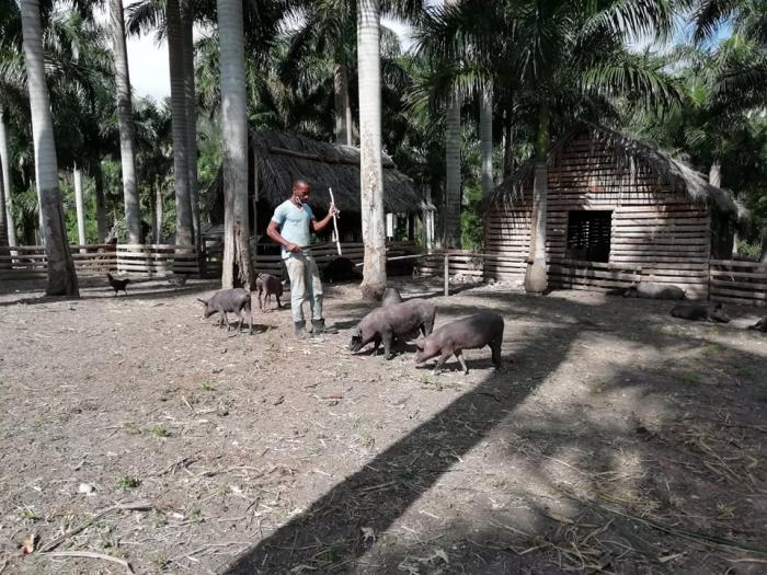 granja de Arroyo Naranjo