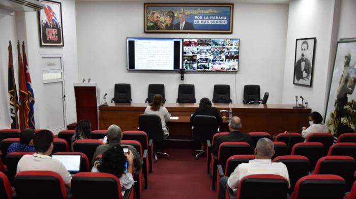 Diputados que participan en la videoconferencia