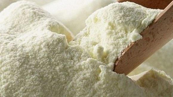 Leche en polvo a granel