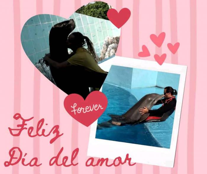 Horario extendido en el Acuario Nacional para celebrar el 14 de febrero