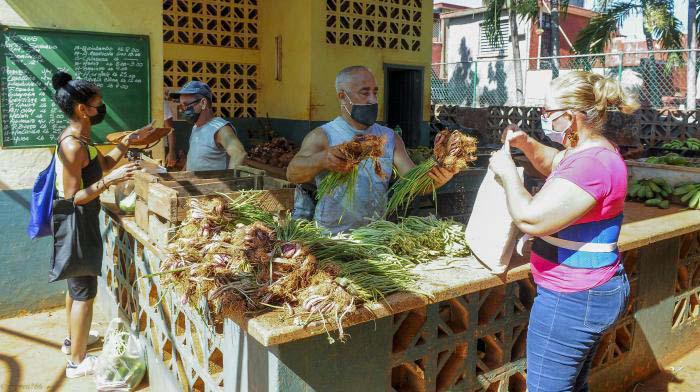 Eslabón suelto en el mercado