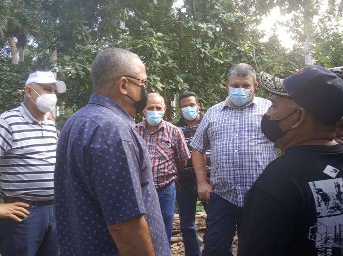Impulsa La Habana producción de café en el llano