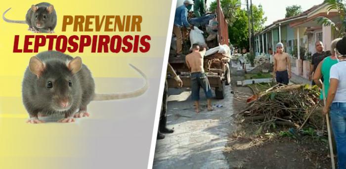 Curso Internacional “Leptospirosis Habana 2022