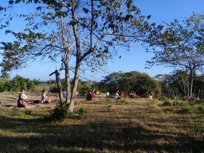 Un domingo en el campo