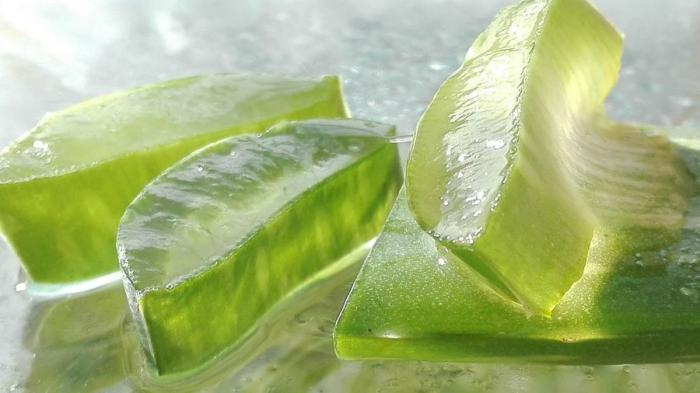 Remedios caseros para la caspa