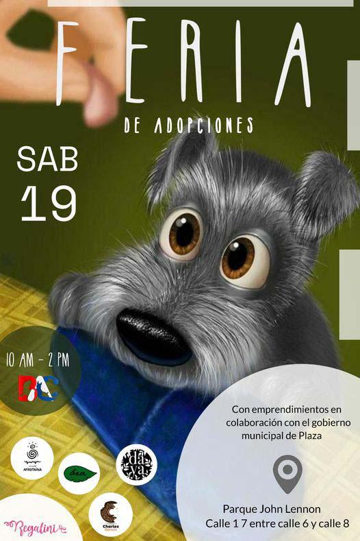 Nueva feria de adopciones