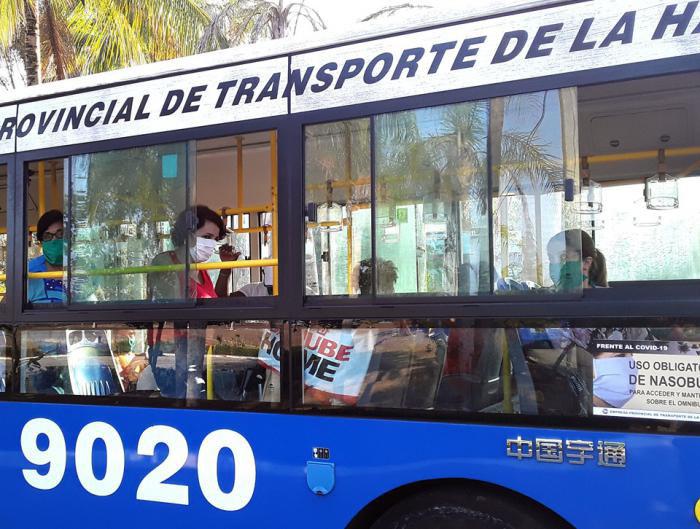 Transporte, ómnibus urbanos