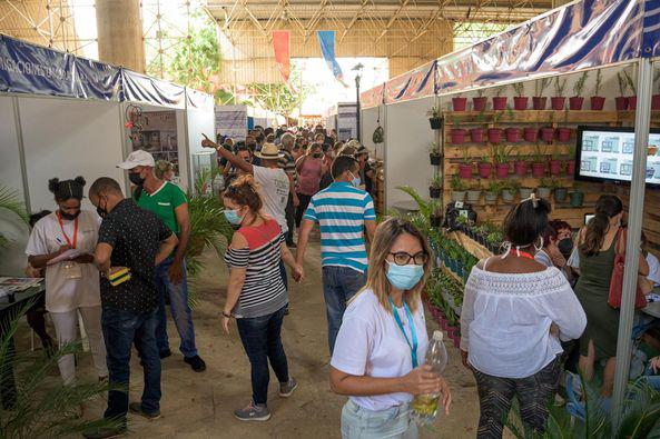 Feria de La Habana