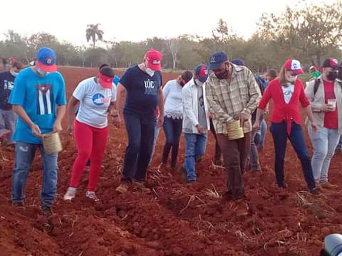 Participa Presidente cubano en jornada de trabajo voluntario