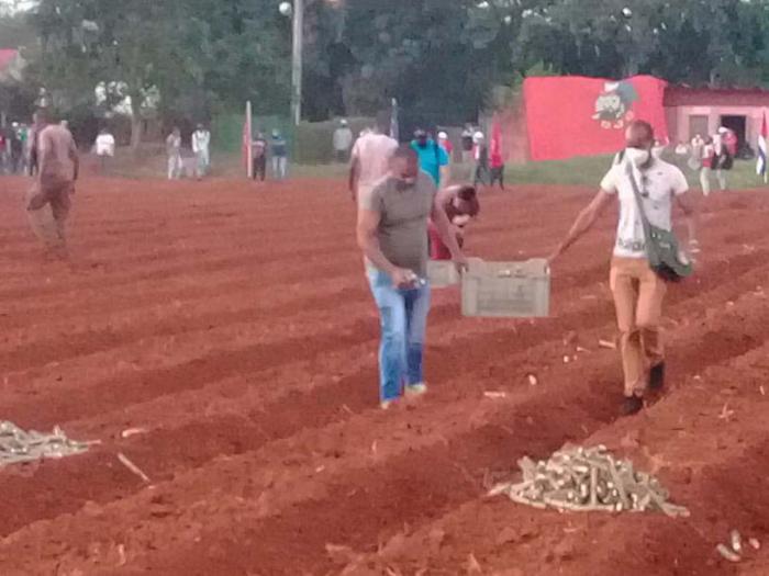 a participación del Presidente Miguel Díaz-Canel Bermúdez, en una nueva jornada de trabajo voluntario, resulta un ejemplo de continuidad en los desafíos que enfrentó la generación del Centenario para alcanzar la independencia de Cuba y hacer producir la tierra como parte del patrimonio de la nación