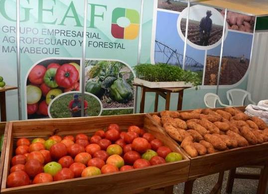 Comienza Feria Internacional Agroindustrial Alimentaria en La Habana