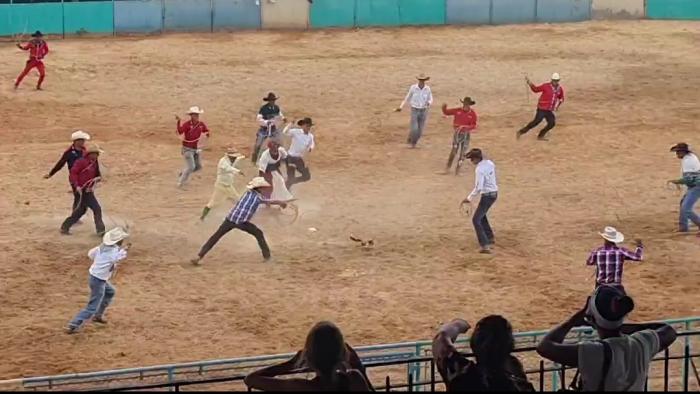 Personas que maltrataron a un gato en la feria