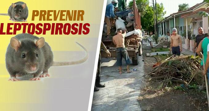 Cartel sobre la prevención de la Leptospirosis y personas recogiendo basura